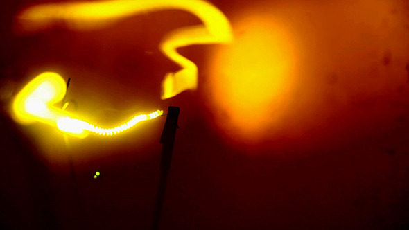 Electric Tungsten Bulb 156 Electric Tungsten Bulb 156