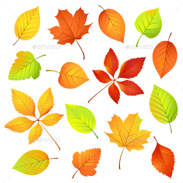 GraphicRiver Autumn Leaves Vector illustration 9060852 GraphicRiver Autumn Leaves Vector illustration 9060852
