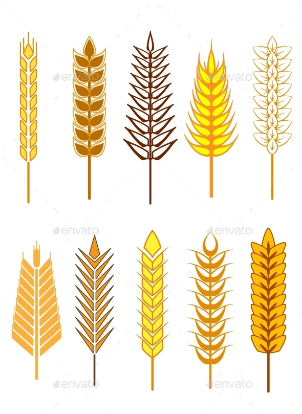 GraphicRiver Cereal Set 9062408 GraphicRiver Cereal Set 9062408