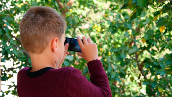 Boy Taking Picture Of Nature Boy Taking Picture Of Nature