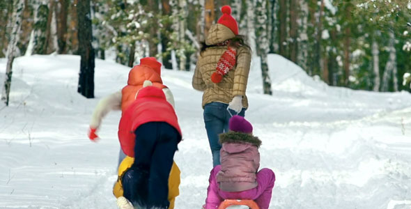 Friends with Sleds Friends with Sleds