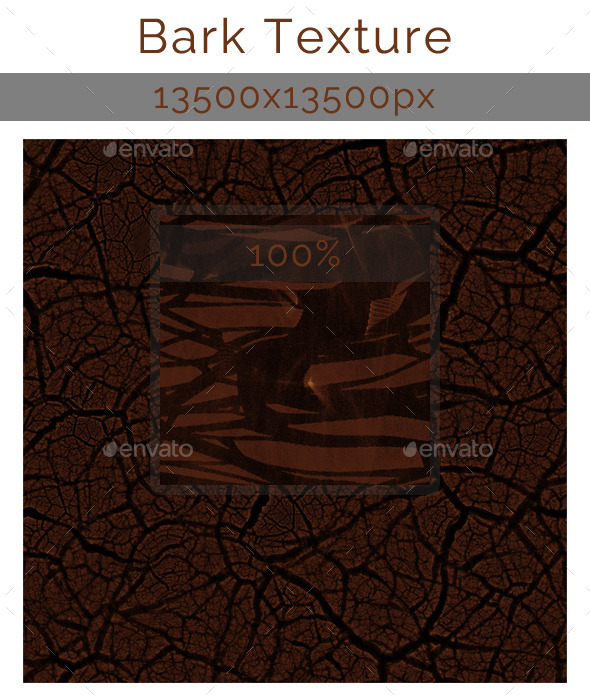 GraphicRiver Bark Texture 9091672 GraphicRiver Bark Texture 9091672
