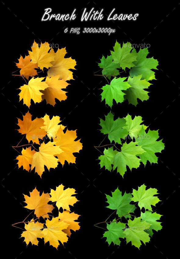 GraphicRiver Branch With Leaves Maple 9114270 GraphicRiver Branch With Leaves Maple 9114270