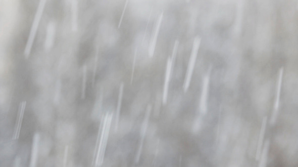 Snowfall Background Snowfall Background