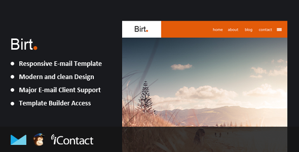 Birt - Responsive Email + Themebuilder Access