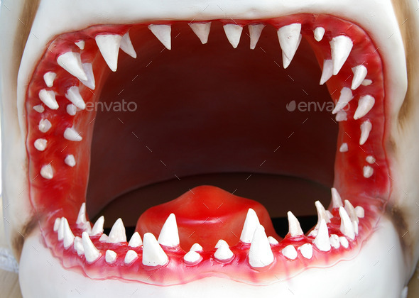 Open shark mouth