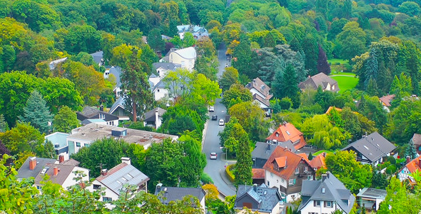 Little Town in Forest Little Town in Forest