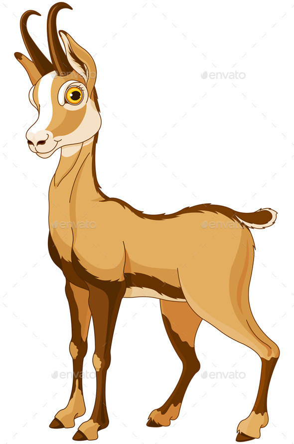 GraphicRiver Chamois Rupicapra 9136224 GraphicRiver Chamois Rupicapra 9136224