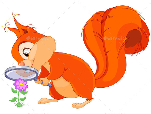 GraphicRiver Curious Squirrel 9136230 GraphicRiver Curious Squirrel 9136230