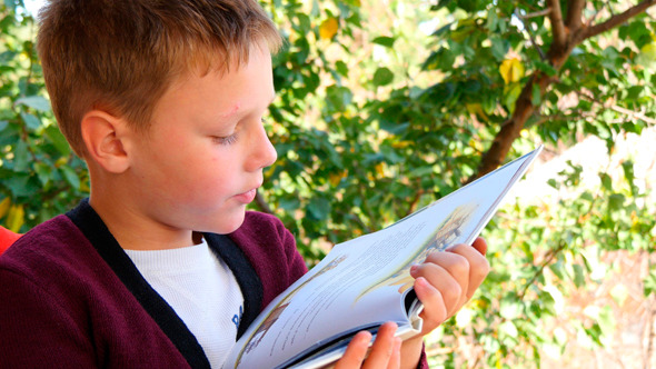 Boy Reading Book In The Park Boy Reading Book In The Park