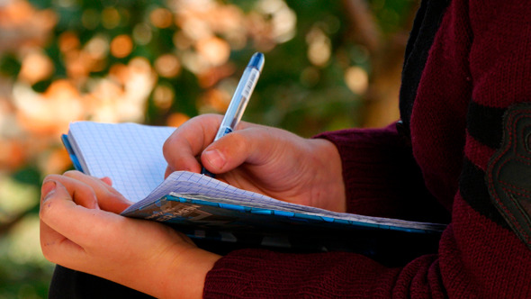 Boy Sitting On Bench Near Trees And Writing 3 Boy Sitting On Bench Near Trees And Writing 3