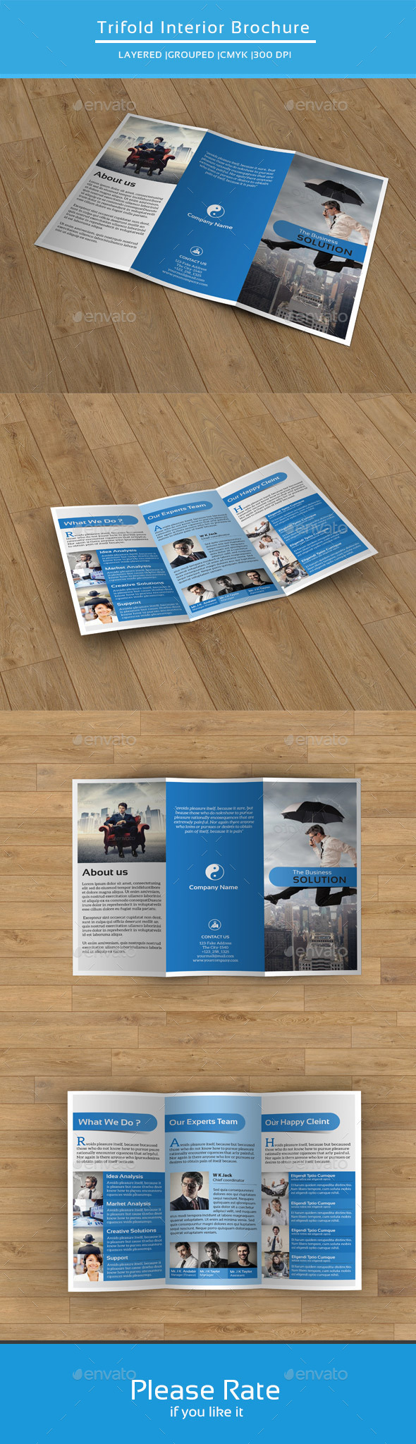 Corporate Trifold Brochure-V173 (Corporate)