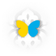 ali_it20005