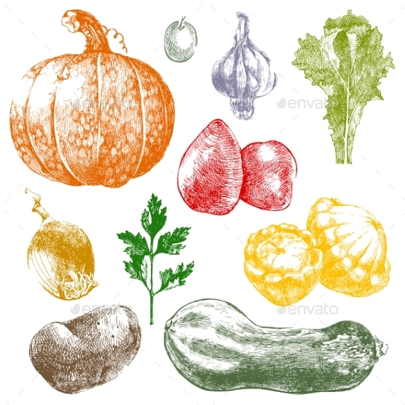 GraphicRiver Hand Drawn Vegetables 9147265 GraphicRiver Hand Drawn Vegetables 9147265