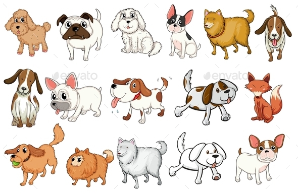 Different Breeds of Dogs Different Breeds of Dogs