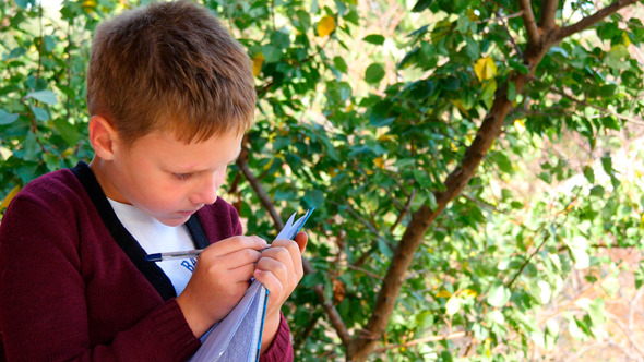 Boy Sitting On Bench Near Trees And Writing 1 Boy Sitting On Bench Near Trees And Writing 1