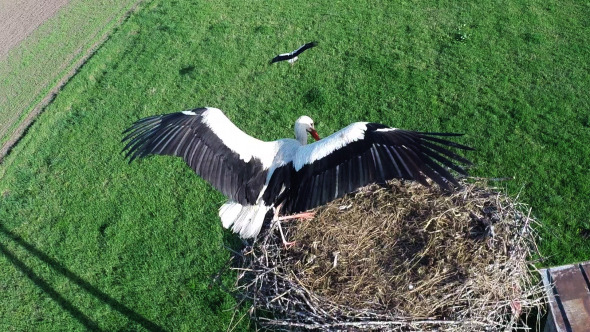 Flying Over Stork Flying Over Stork