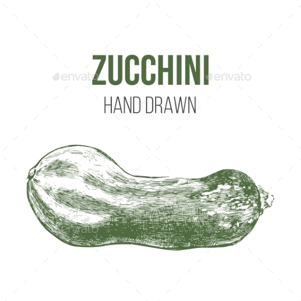 GraphicRiver Hand Drawn Zucchini 9164468 GraphicRiver Hand Drawn Zucchini 9164468
