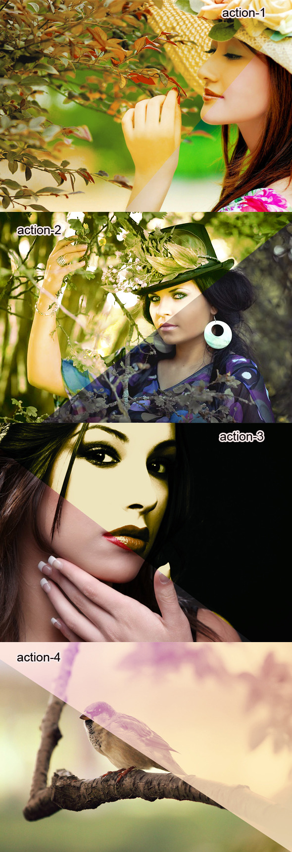 GraphicRiver Cherry Action 9177380 GraphicRiver Cherry Action 9177380