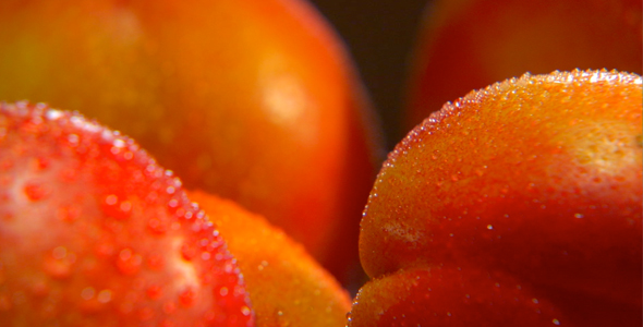 Nectarines HD 720P Nectarines HD 720P