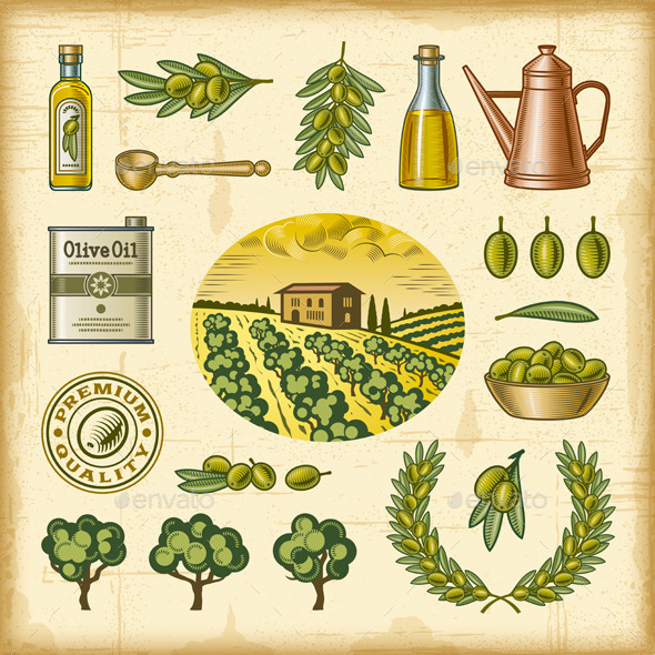 GraphicRiver Vintage Colorful Olive Harvest Set 9187701 GraphicRiver Vintage Colorful Olive Harvest Set 9187701