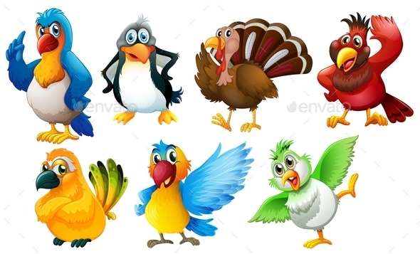 GraphicRiver Different Species of Birds 9188736 GraphicRiver Different Species of Birds 9188736