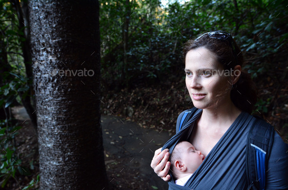 Springbrook National Park - Queensland Australia (Misc) Photo Download