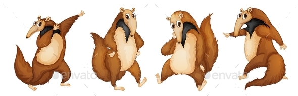 Anteaters Anteaters