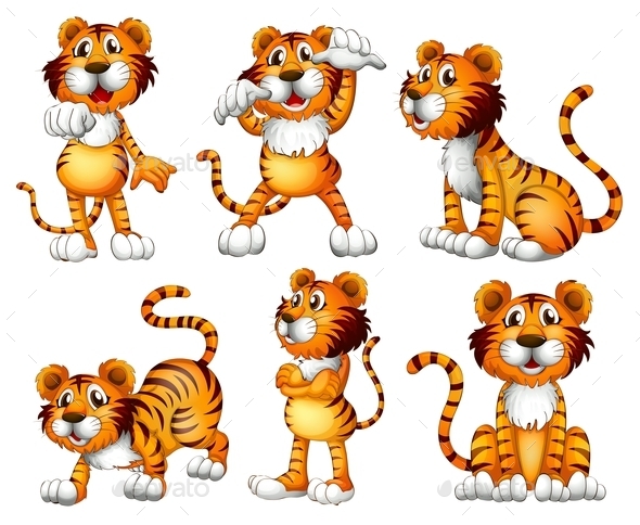GraphicRiver Six Positions of a Tiger 9190175 GraphicRiver Six Positions of a Tiger 9190175
