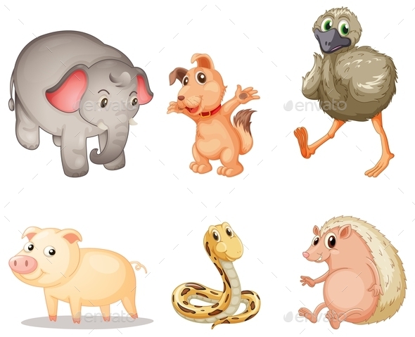 GraphicRiver Animal Series 9190598 GraphicRiver Animal Series 9190598