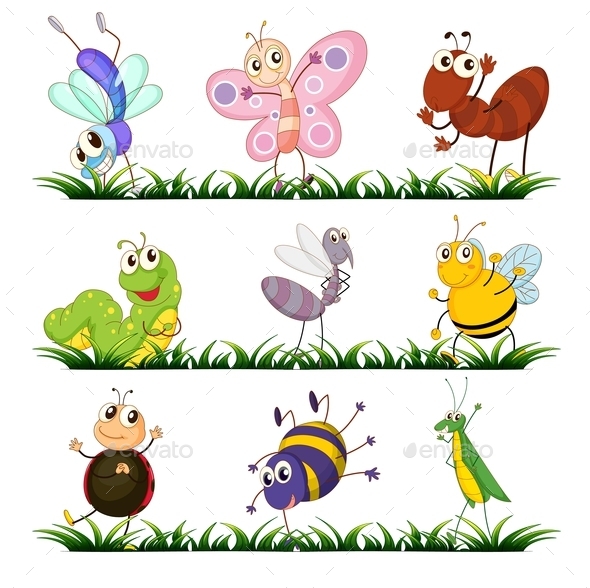GraphicRiver Insects 9190776 GraphicRiver Insects 9190776