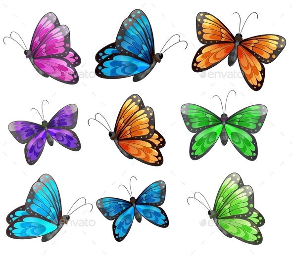 GraphicRiver Nine Colorful Butterflies 9191357 GraphicRiver Nine Colorful Butterflies 9191357