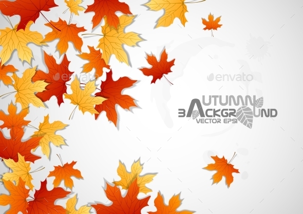 GraphicRiver Autumn Leaves Background 9192776 GraphicRiver Autumn Leaves Background 9192776