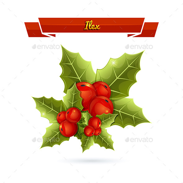 Ilex Ilex