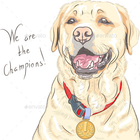 GraphicRiver Labrador Retriever Champion 9210115 GraphicRiver Labrador Retriever Champion 9210115