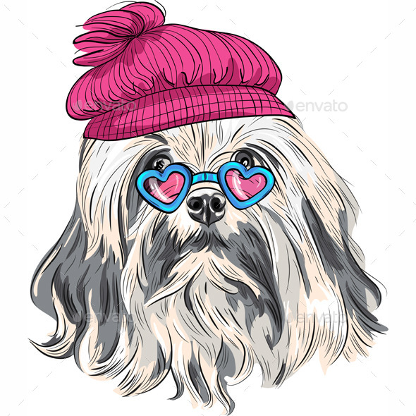 GraphicRiver Cartoon Hipster Lowchen Dog 9211935 GraphicRiver Cartoon Hipster Lowchen Dog 9211935