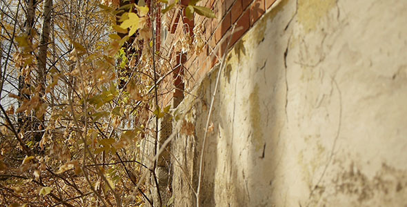 Abandoned Red Brick Building 8 Abandoned Red Brick Building 8