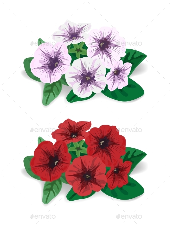 GraphicRiver Petunia Flower 9224652 GraphicRiver Petunia Flower 9224652