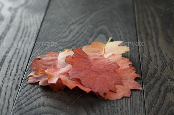 autumn red oak leaves on old oak table