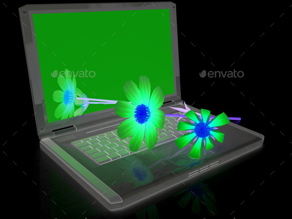 cosmos flower on laptop (Misc) Photo Download