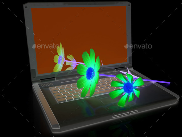 cosmos flower on laptop (Misc) Photo Download