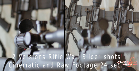 Rifle Wall Slider Shot Rifle Wall Slider Shot