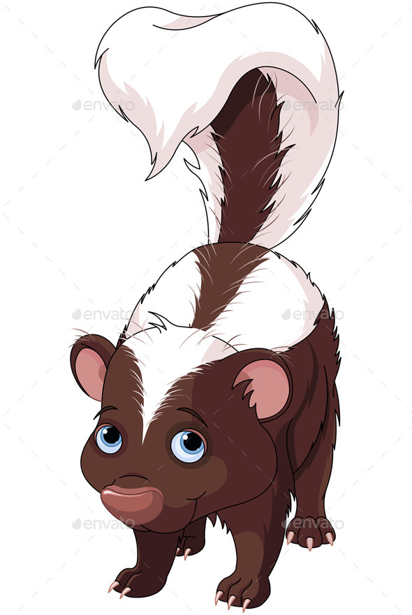 Skunk (Animals)