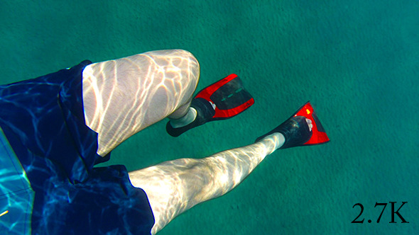 Flippers 1 Flippers 1