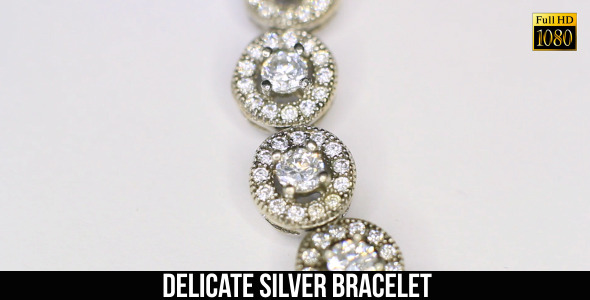 Delicate Silver Bracelet 2 Delicate Silver Bracelet 2