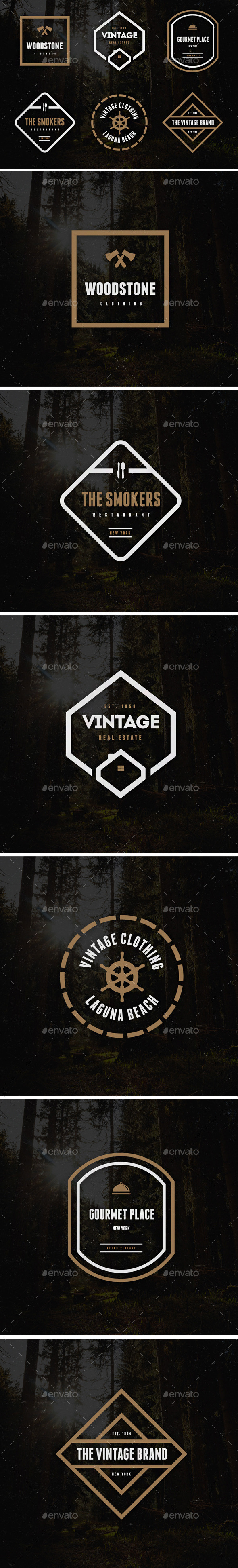 GraphicRiver Vintage Labels & Badges Logos V21 9256556 GraphicRiver Vintage Labels & Badges Logos V21 9256556