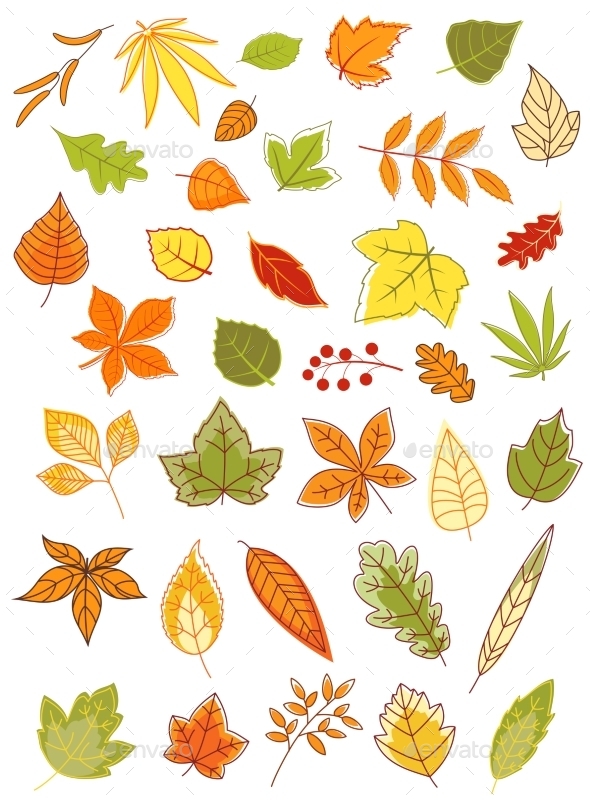 GraphicRiver Autumn Leaves 9258334 GraphicRiver Autumn Leaves 9258334