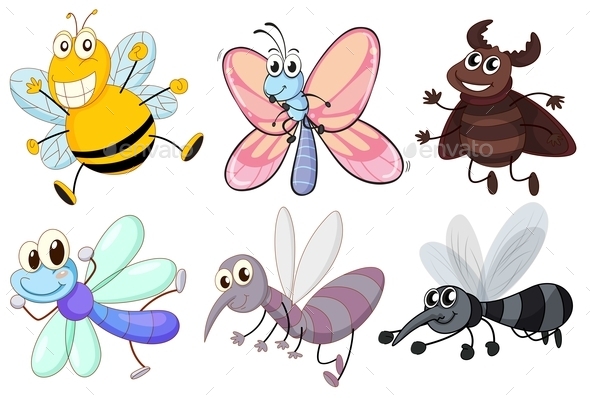 Six Flying Insects (Animals)