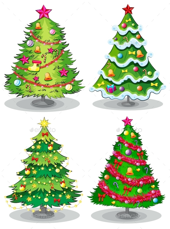 Christmas Trees (Flowers & Plants)