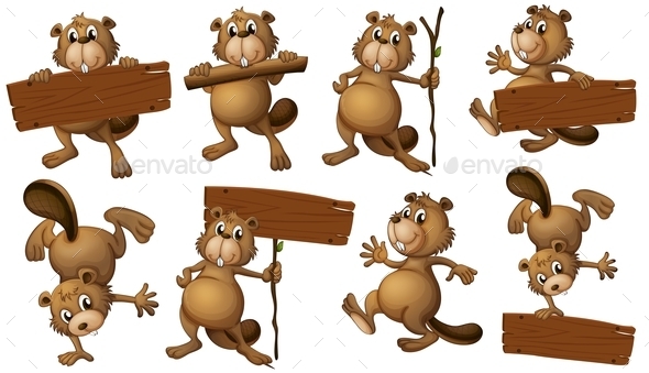 Beavers with Sign Boards (People)